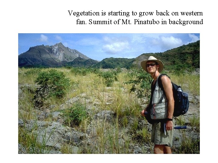 Vegetation is starting to grow back on western fan. Summit of Mt. Pinatubo in