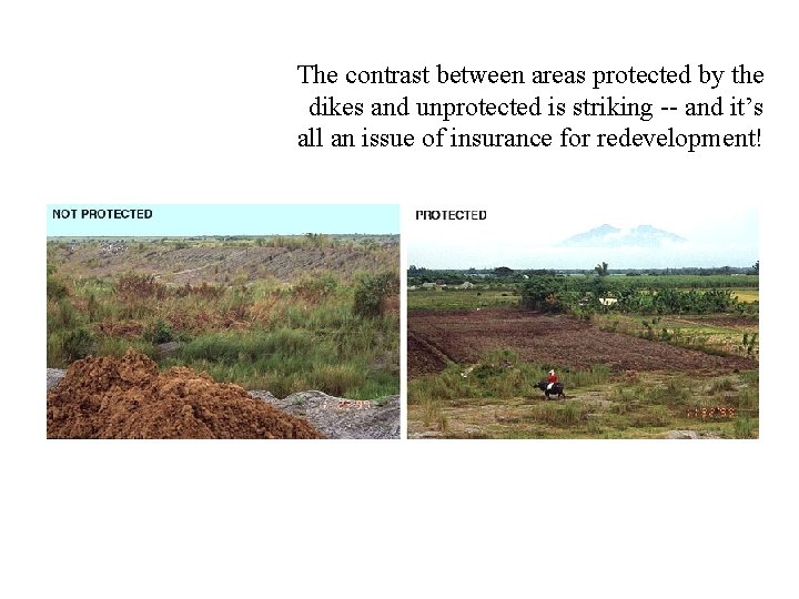 The contrast between areas protected by the dikes and unprotected is striking -- and