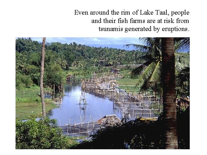 Even around the rim of Lake Taal, people and their fish farms are at