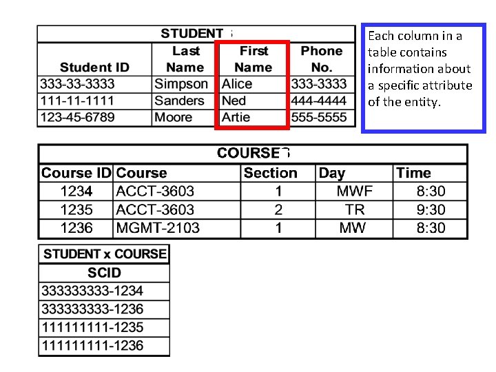 Each column in a table contains information about a specific attribute of the entity.