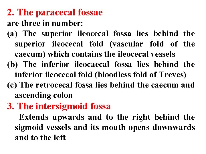 2. The paracecal fossae are three in number: (a) The superior ileocecal fossa lies
