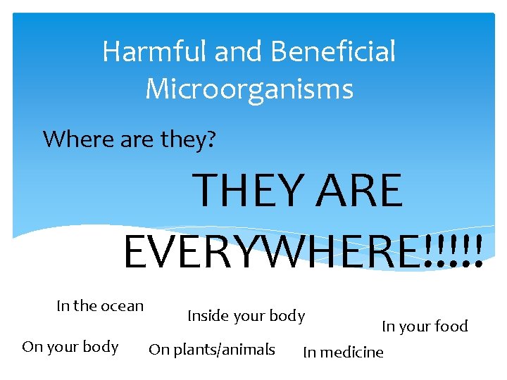 Harmful and Beneficial Microorganisms Where are they? THEY ARE EVERYWHERE!!!!! In the ocean On