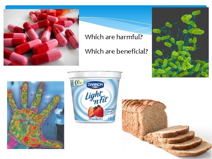 Which are harmful? Which are beneficial? 