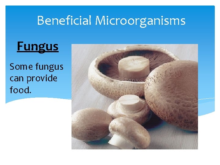 Beneficial Microorganisms Fungus Some fungus can provide food. 