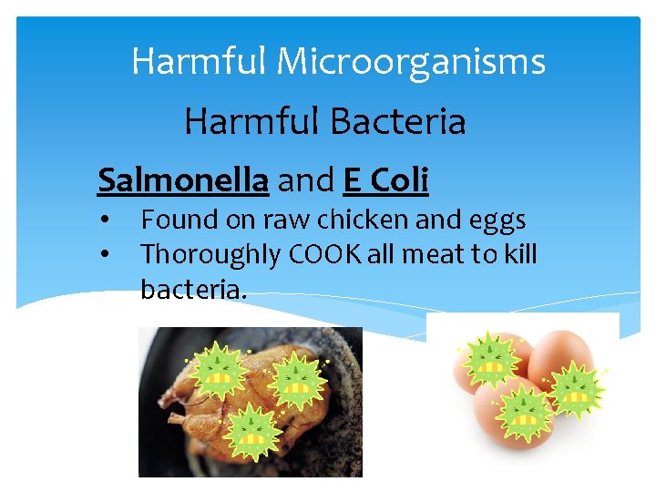 Harmful Microorganisms Harmful Bacteria Salmonella and E Coli • • Found on raw chicken