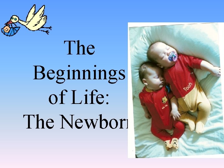 The Beginnings of Life: The Newborn 