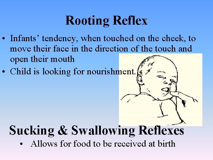 Rooting Reflex • Infants’ tendency, when touched on the cheek, to move their face