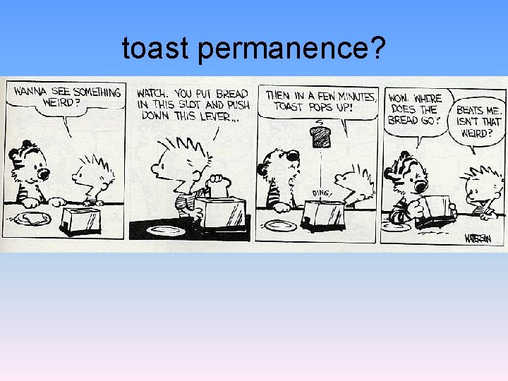 toast permanence? 
