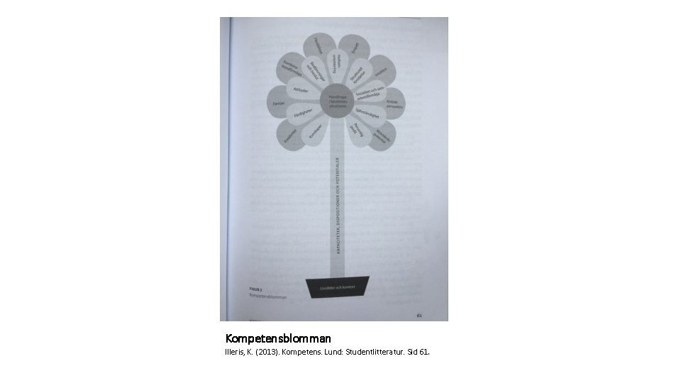 Kompetensblomman Illeris, K. (2013). Kompetens. Lund: Studentlitteratur. Sid 61. 