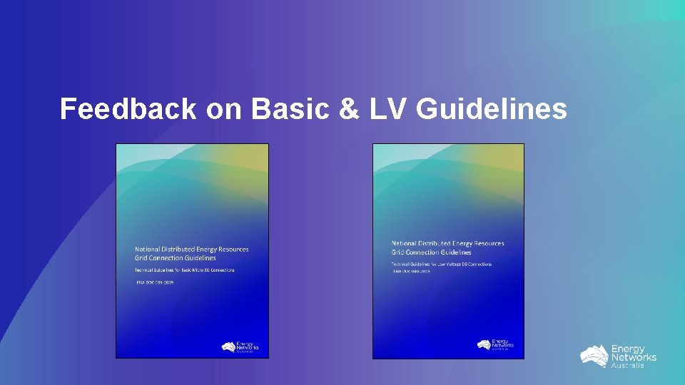 Feedback on Basic & LV Guidelines 