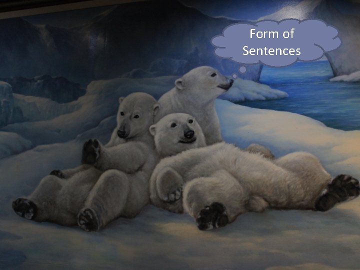 Form of Sentences Form of Sentences