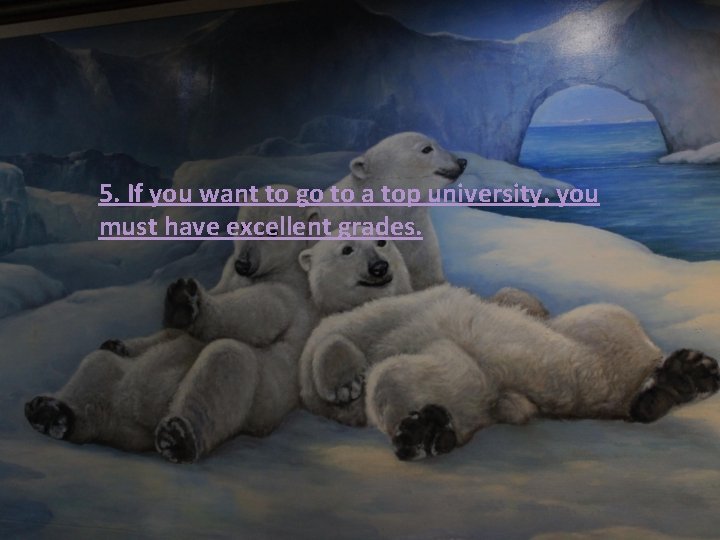 5. If you want to go to a top university, you must have excellent 5. If you want to go to a top university, you must have excellent