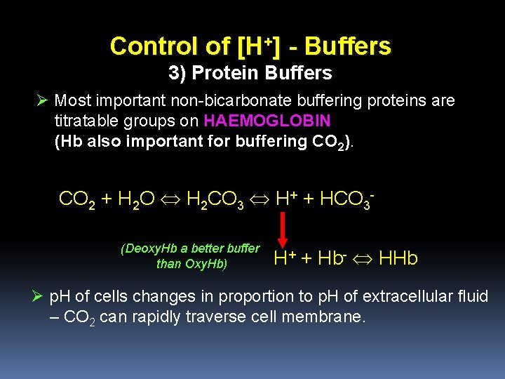 Control of [H+] - Buffers 3) Protein Buffers Ø Most important non-bicarbonate buffering proteins