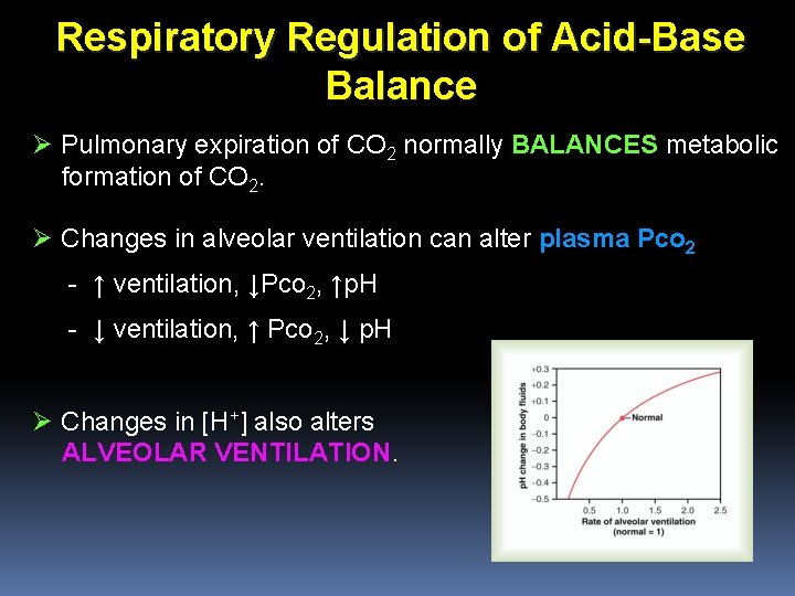 Respiratory Regulation of Acid-Base Balance Ø Pulmonary expiration of CO 2 normally BALANCES metabolic