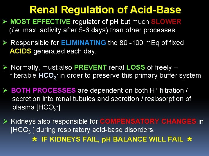 Renal Regulation of Acid-Base Ø MOST EFFECTIVE regulator of p. H but much SLOWER