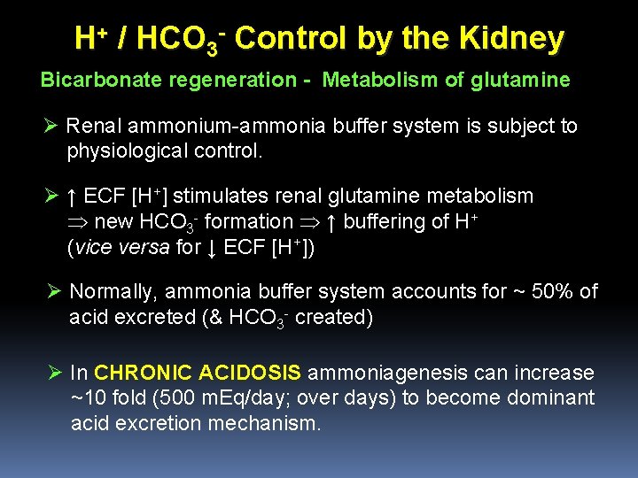 H+ / HCO 3 - Control by the Kidney Bicarbonate regeneration - Metabolism of