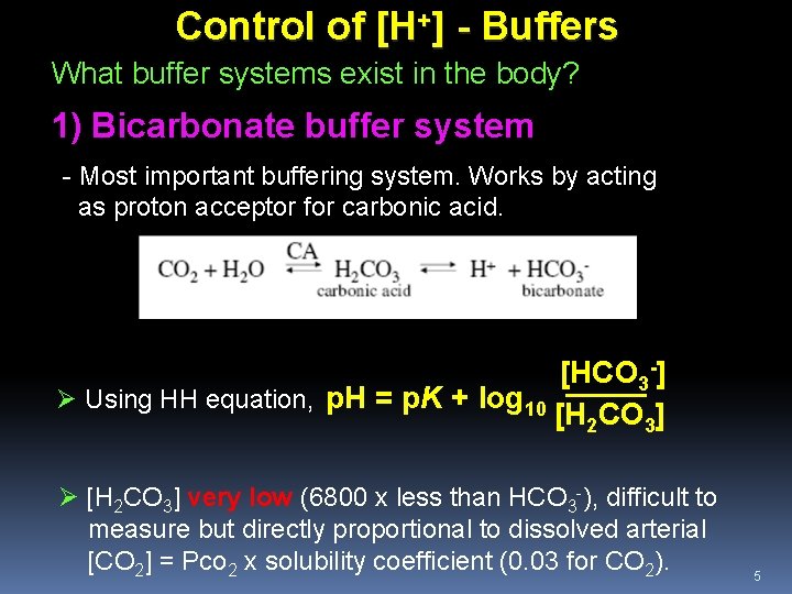 Control of [H+] - Buffers What buffer systems exist in the body? 1) Bicarbonate