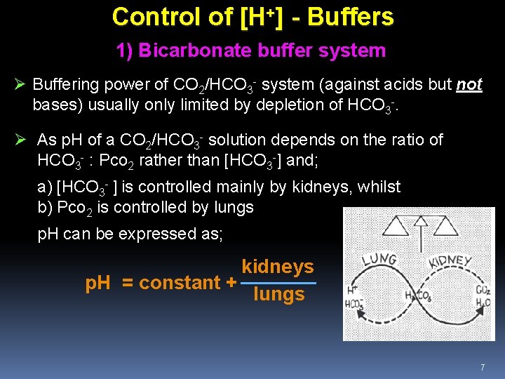 Control of [H+] - Buffers 1) Bicarbonate buffer system Ø Buffering power of CO