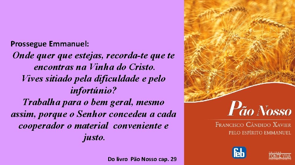 Prossegue Emmanuel: Onde quer que estejas, recorda-te que te encontras na Vinha do Cristo.