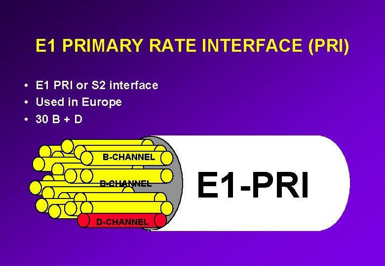 E 1 PRIMARY RATE INTERFACE (PRI) • E 1 PRI or S 2 interface