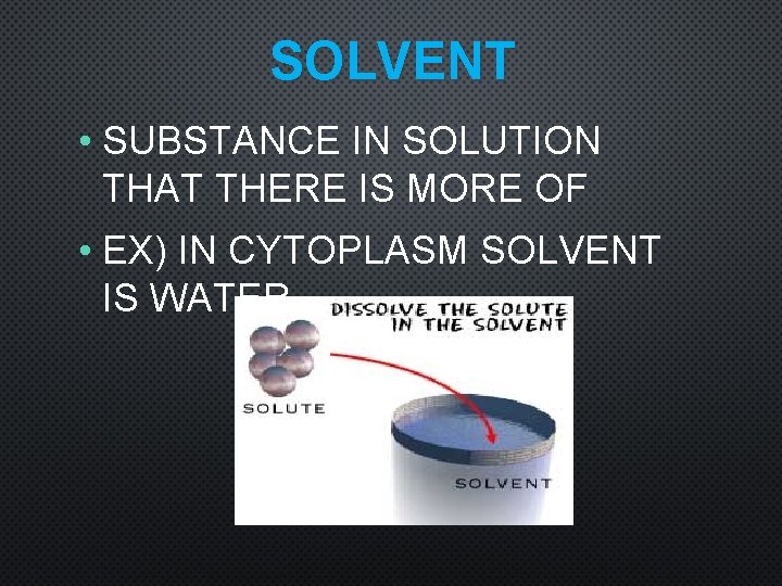 SOLVENT • SUBSTANCE IN SOLUTION THAT THERE IS MORE OF • EX) IN CYTOPLASM