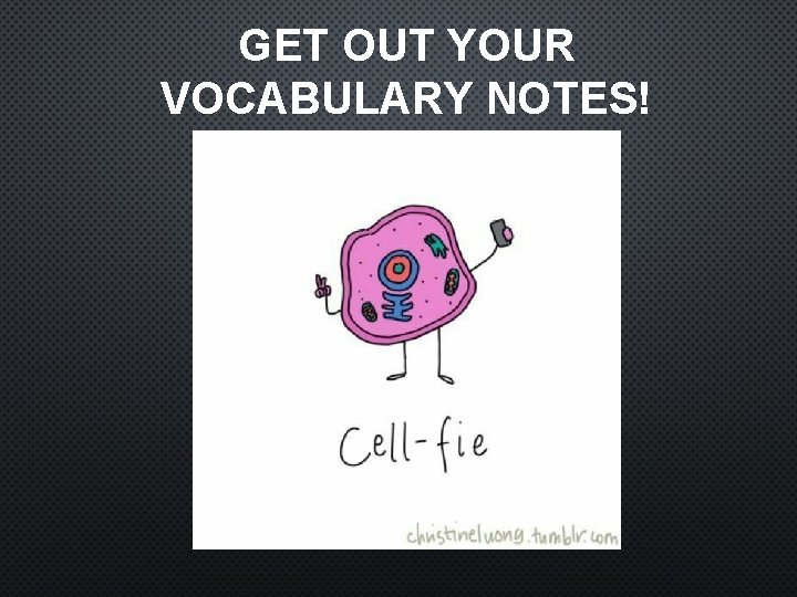 GET OUT YOUR VOCABULARY NOTES! 