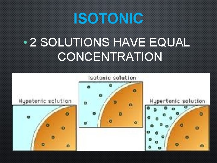 ISOTONIC • 2 SOLUTIONS HAVE EQUAL CONCENTRATION 