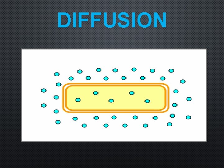 DIFFUSION 