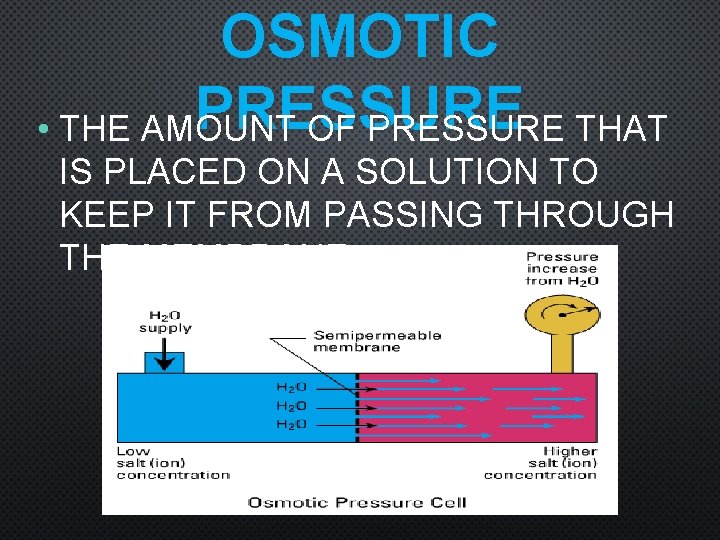 OSMOTIC PRESSURE • THE AMOUNT OF PRESSURE THAT IS PLACED ON A SOLUTION TO