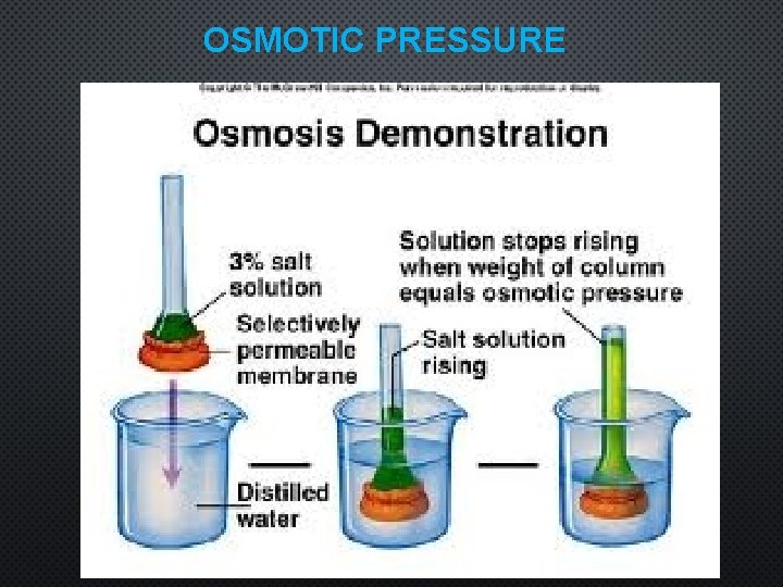 OSMOTIC PRESSURE 33 