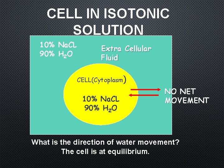 CELL IN ISOTONIC SOLUTION 10% Na. CL 90% H 2 O Extra Cellular Fluid