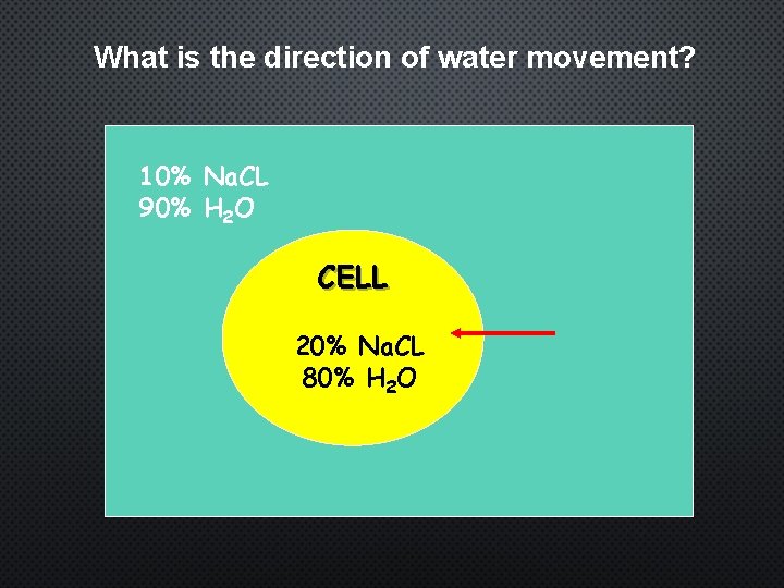 What is the direction of water movement? 10% Na. CL 90% H 2 O