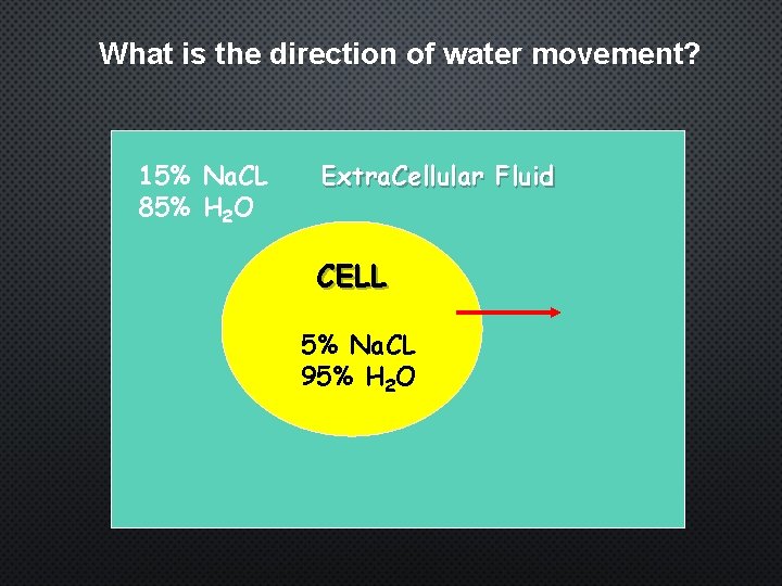 What is the direction of water movement? 15% Na. CL 85% H 2 O