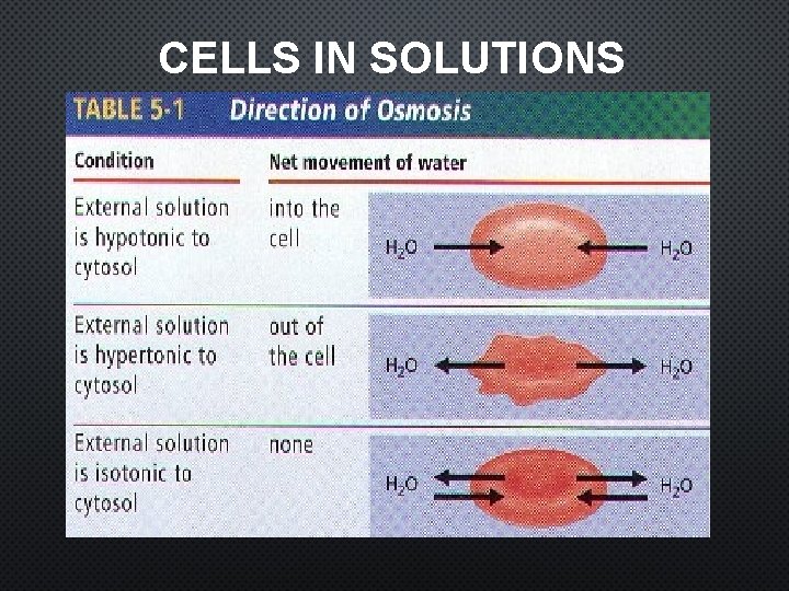 CELLS IN SOLUTIONS 