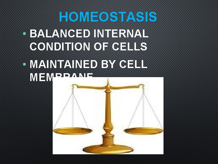 HOMEOSTASIS • BALANCED INTERNAL CONDITION OF CELLS • MAINTAINED BY CELL MEMBRANE 