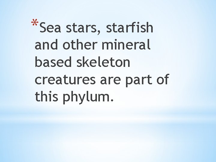 *Sea stars, starfish and other mineral based skeleton creatures are part of this phylum.