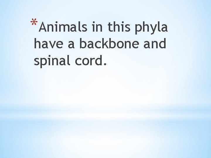 *Animals in this phyla have a backbone and spinal cord. 