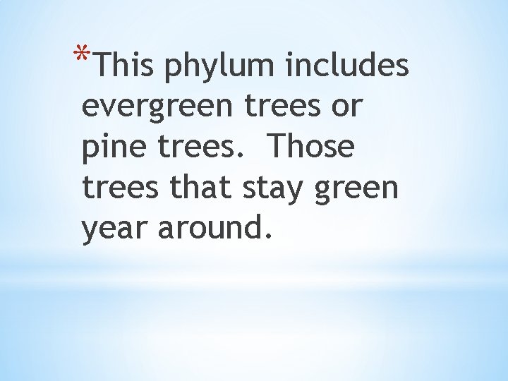 *This phylum includes evergreen trees or pine trees. Those trees that stay green year