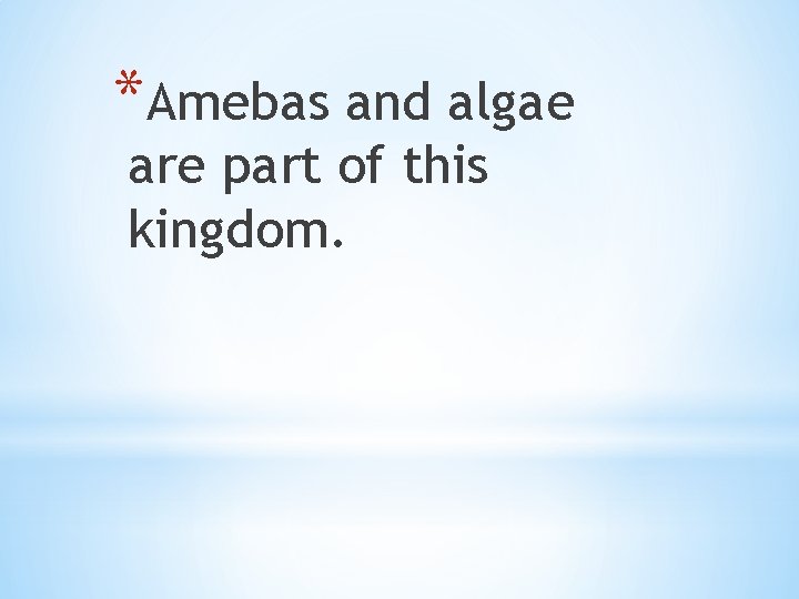 *Amebas and algae are part of this kingdom. 