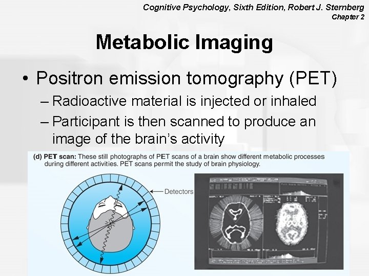 Cognitive Psychology, Sixth Edition, Robert J. Sternberg Chapter 2 Metabolic Imaging • Positron emission