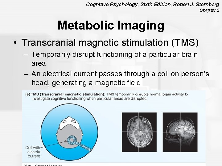 Cognitive Psychology, Sixth Edition, Robert J. Sternberg Chapter 2 Metabolic Imaging • Transcranial magnetic