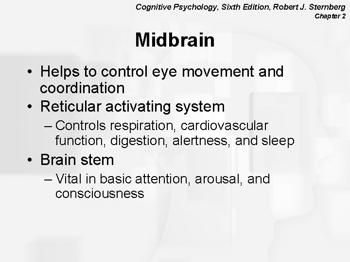 Cognitive Psychology, Sixth Edition, Robert J. Sternberg Chapter 2 Midbrain • Helps to control