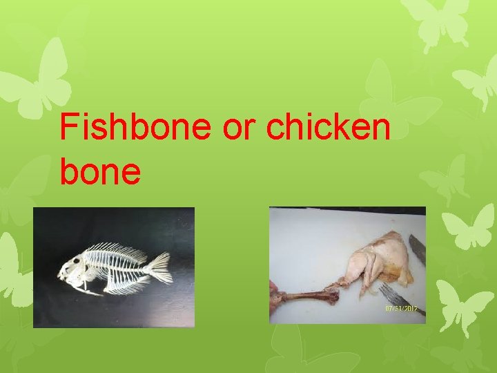 Fishbone or chicken bone 