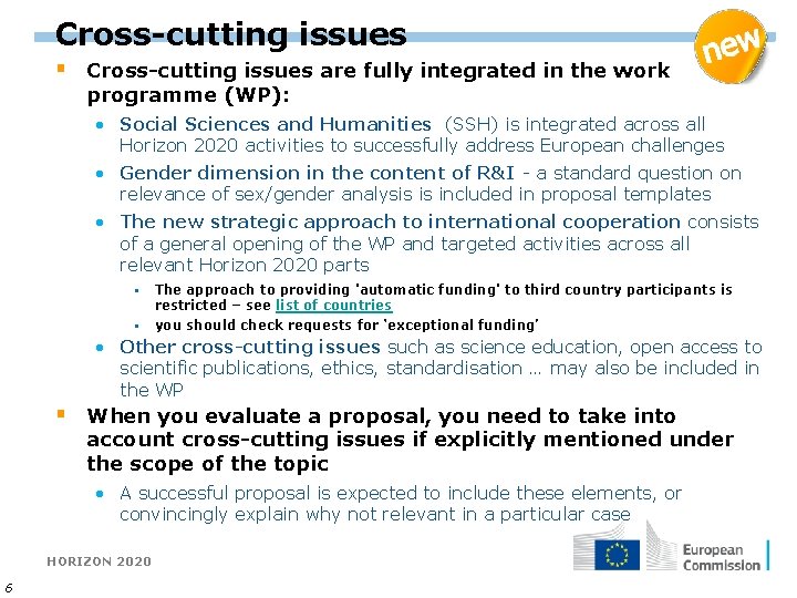 Cross-cutting issues § Cross-cutting issues are fully integrated in the work programme (WP): •