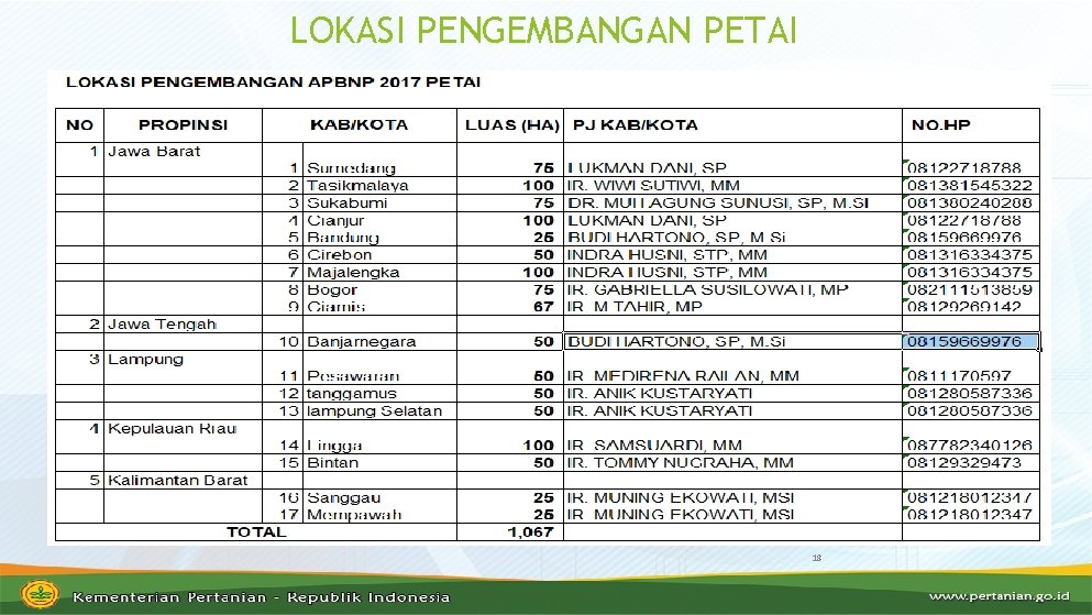 LOKASI PENGEMBANGAN PETAI 18 