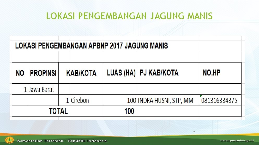 LOKASI PENGEMBANGAN JAGUNG MANIS 21 