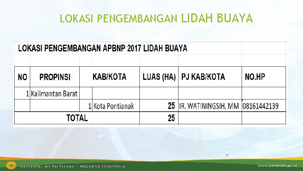 LOKASI PENGEMBANGAN LIDAH BUAYA 23 