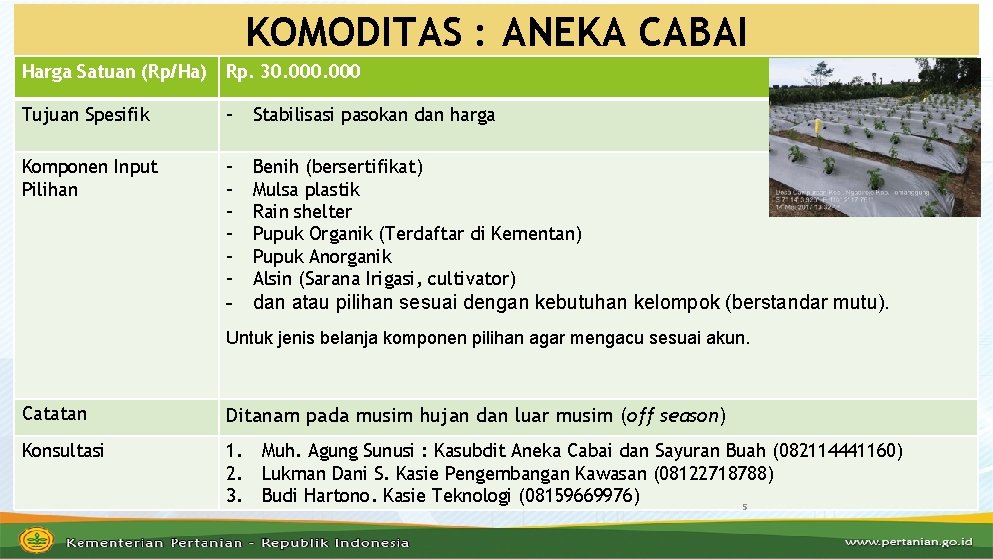 KOMODITAS : ANEKA CABAI Harga Satuan (Rp/Ha) Rp. 30. 000 Tujuan Spesifik - Stabilisasi