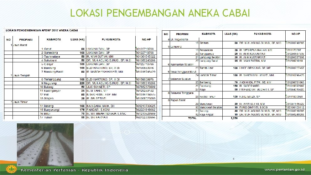 LOKASI PENGEMBANGAN ANEKA CABAI 6 