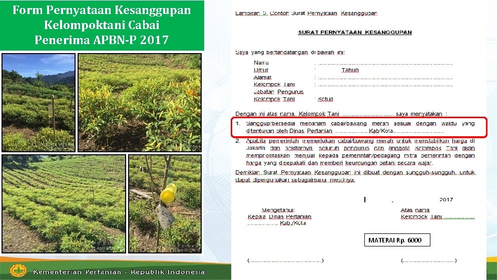 Form Pernyataan Kesanggupan Kelompoktani Cabai Penerima APBN-P 2017 MATERAI Rp. 6000 